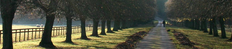 Bo's PGCert blog